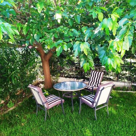 House With Garden Netflix Villa Nea Kerasia Exterior foto