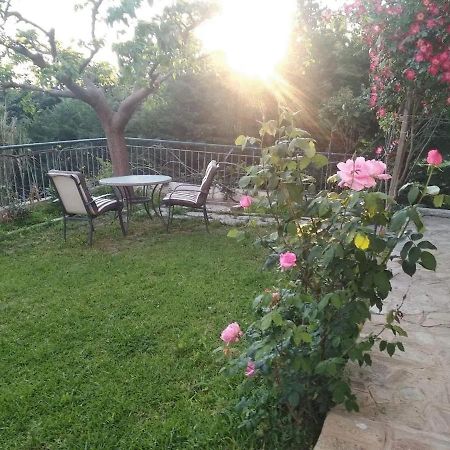 House With Garden Netflix Villa Nea Kerasia Exterior foto