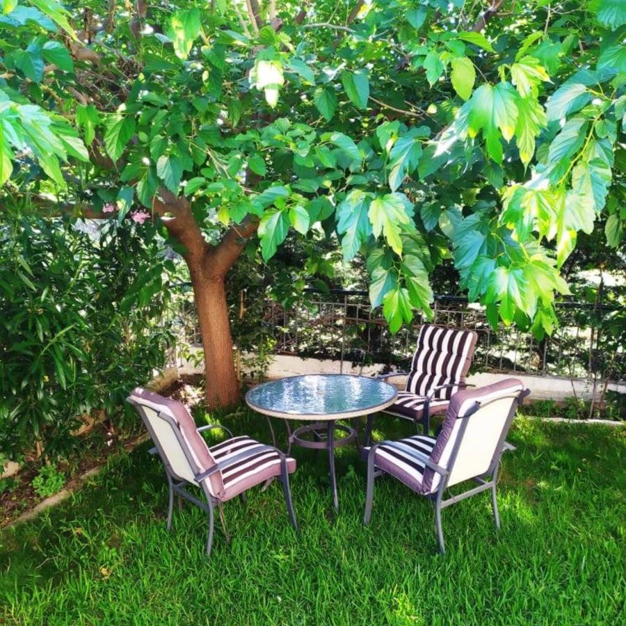 House With Garden Netflix Villa Nea Kerasia Exterior foto